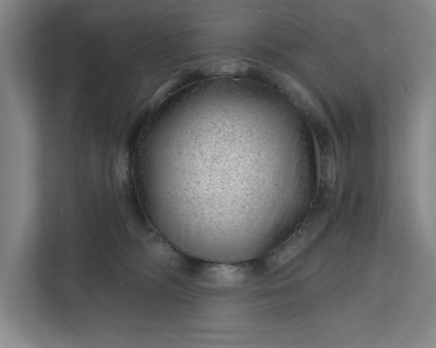 X0000111940326200908101207