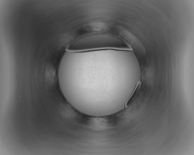 X0000111940327200908101207