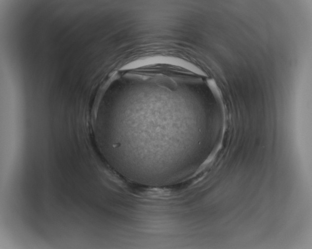 X0000111940328200908101207