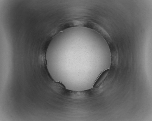 X0000111940329200908101207