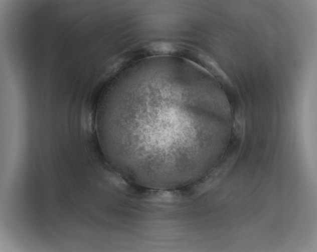 X0000111940330200908101207