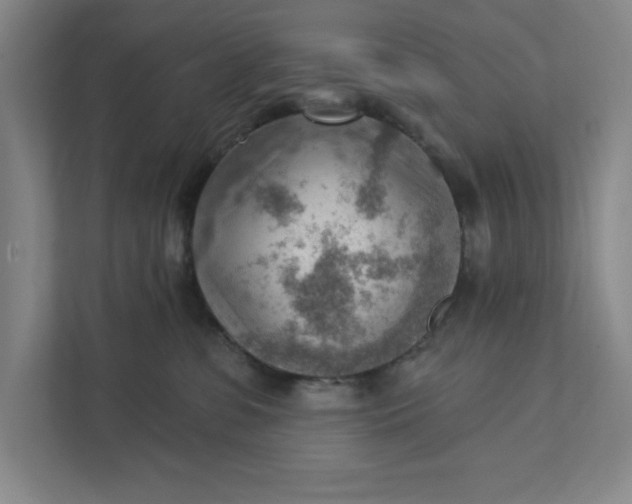 X0000111940331200908101207