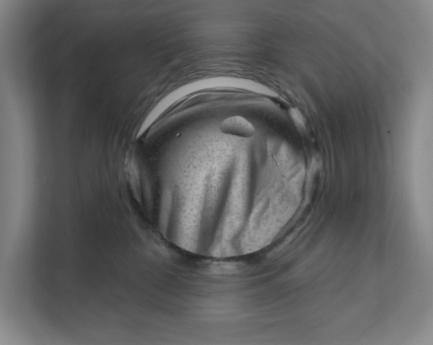 X0000111940332200908101207