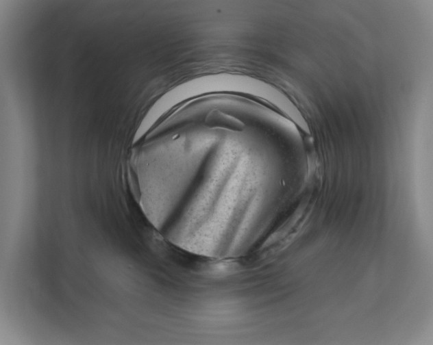 X0000111940333200908101207