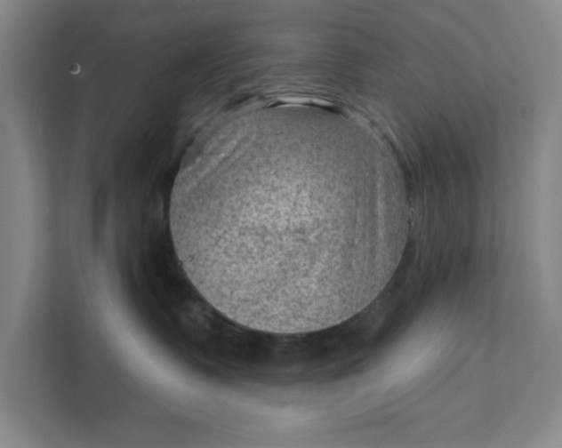 X0000111940335200908101207