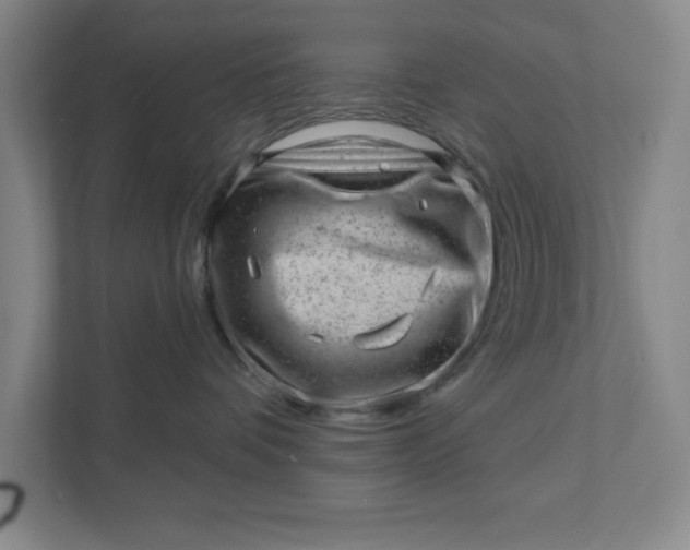 X0000111940336200908101207