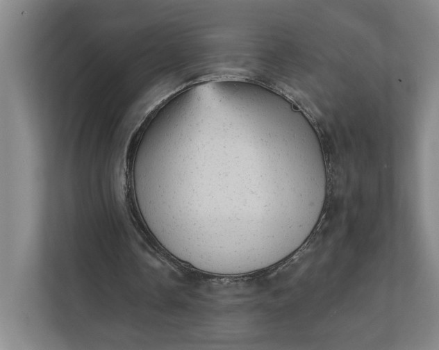 X0000111940338200908101206