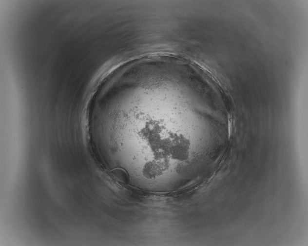 X0000111940339200908101206