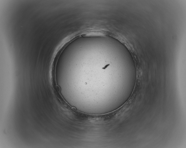 X0000111940340200908101206