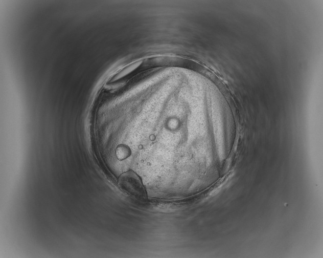 X0000111940341200908101206