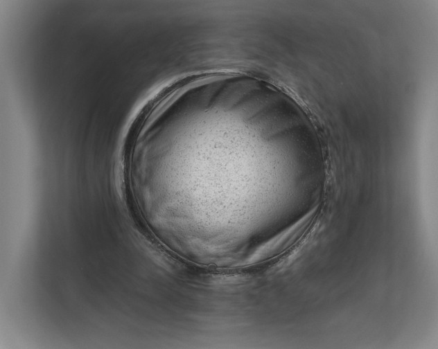 X0000111940342200908101207