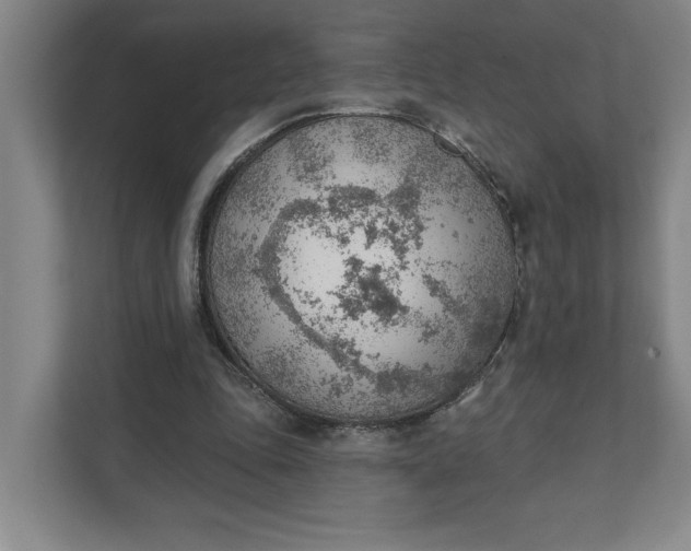 X0000111940343200908101207