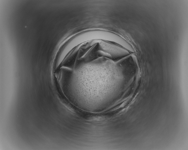 X0000111940344200908101207