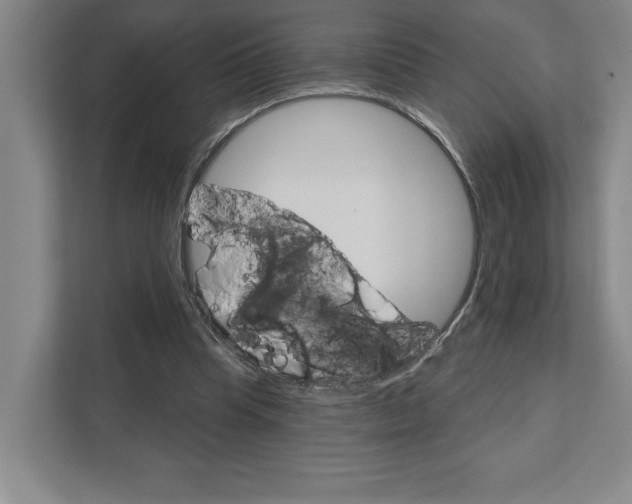 X0000111940345200908101207