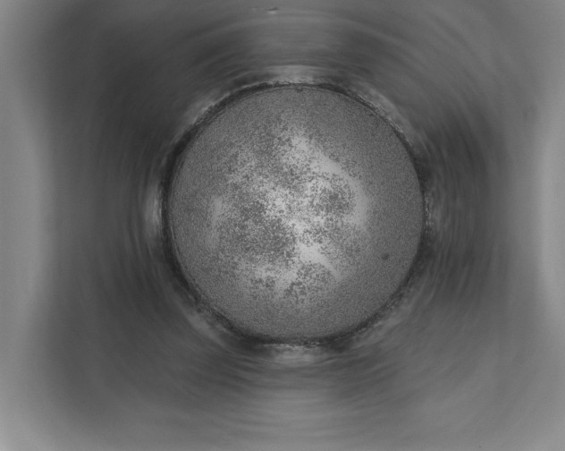 X0000111940347200908101207