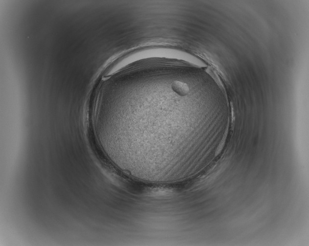 X0000111940348200908101207