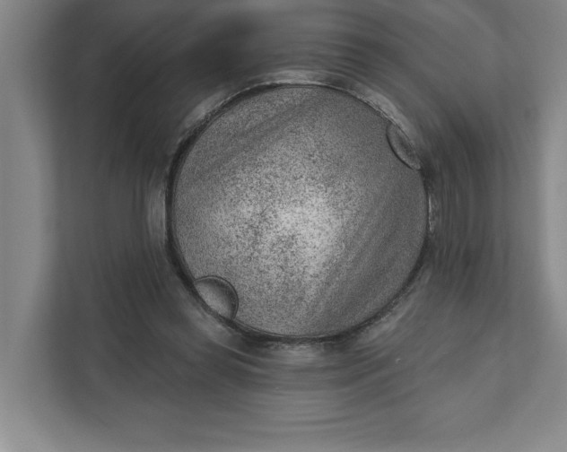 X0000111940349200908101207