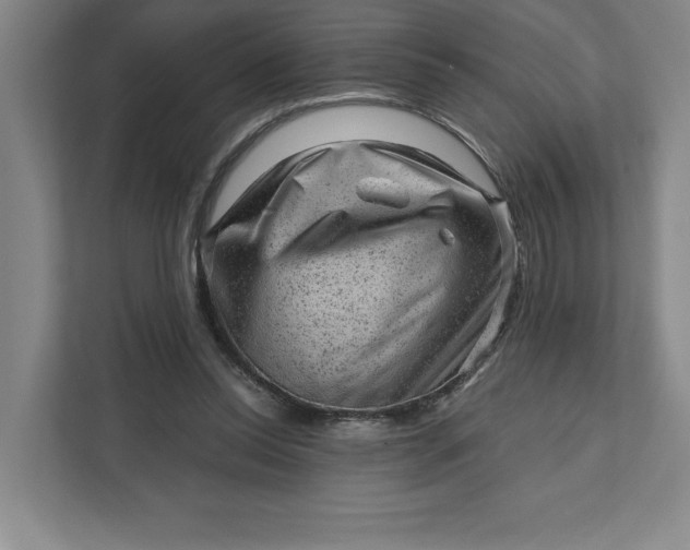 X0000111940350200908101207