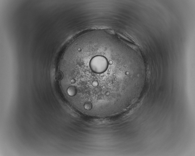 X0000111940351200908101207