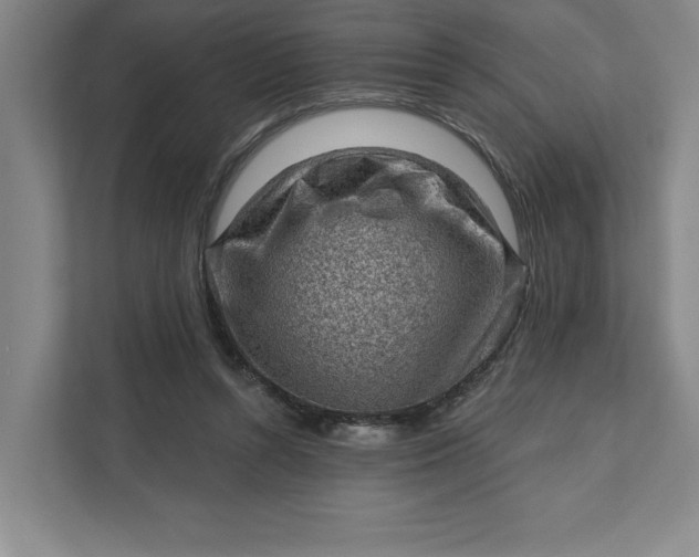 X0000111940352200908101207