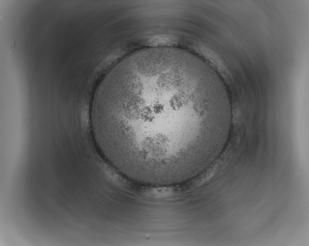 X0000111940353200908101207