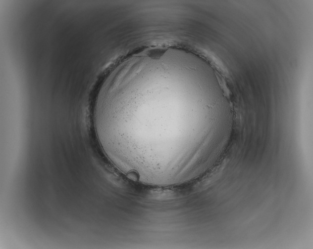 X0000111940354200908101207