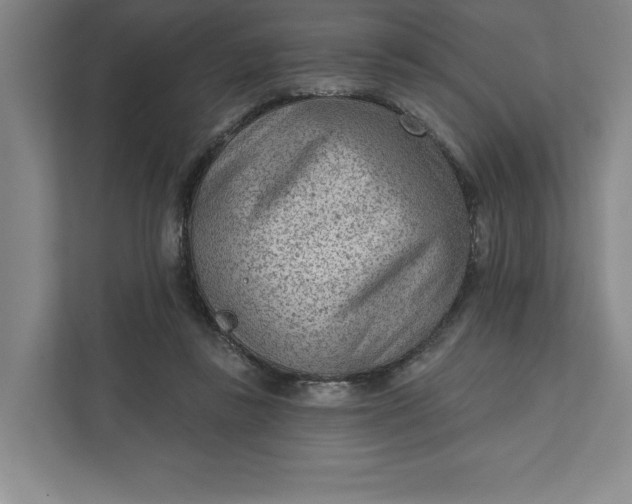 X0000111940355200908101207