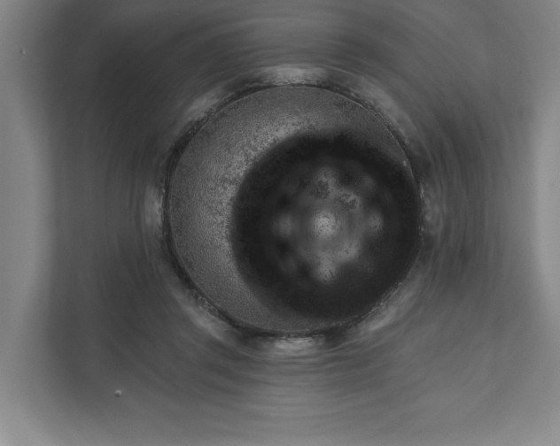 X0000111940357200908101207