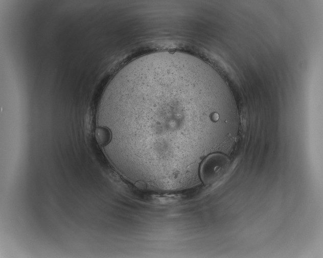 X0000111940359200908101207