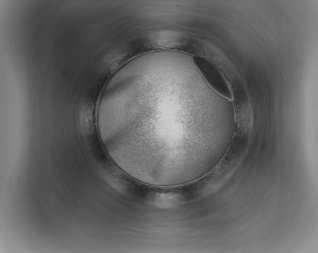 X0000111940360200908101207