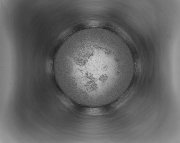 X0000111940361200908101207