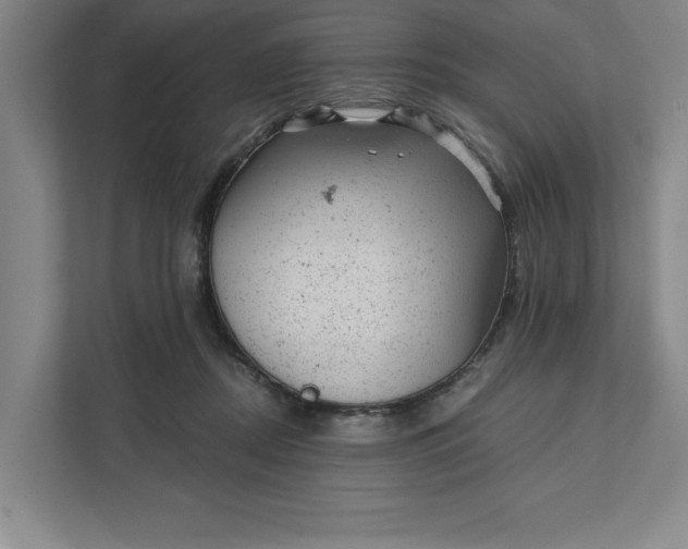 X0000111940362200908101207