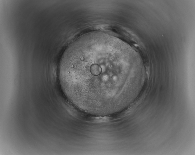 X0000111940363200908101207