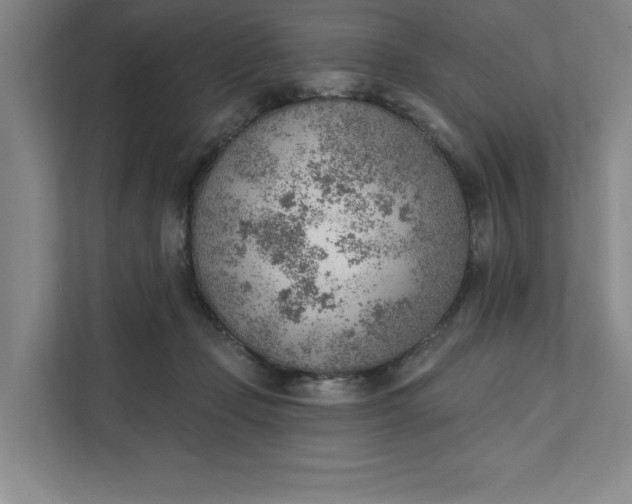 X0000111940365200908101207