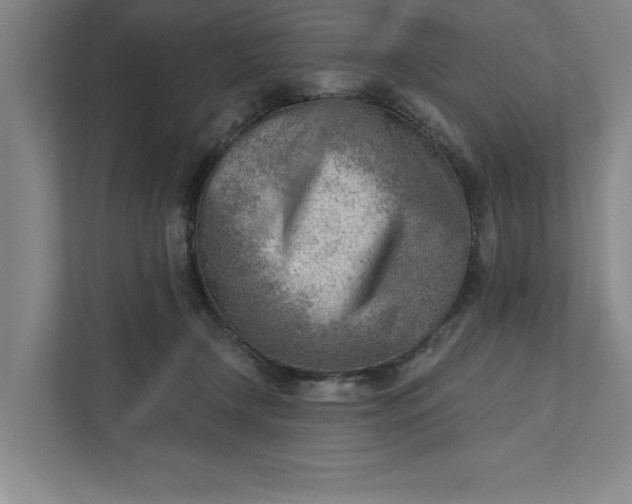 X0000111940366200908101207