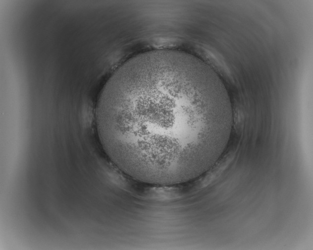 X0000111940367200908101207