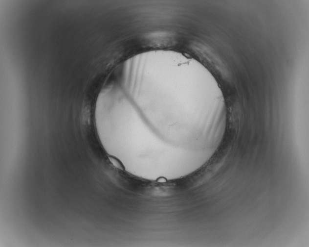 X0000111940368200908101207