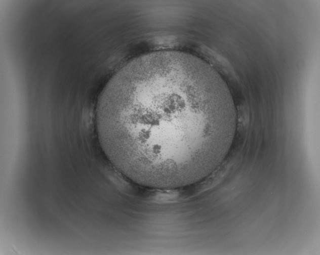 X0000111940369200908101207