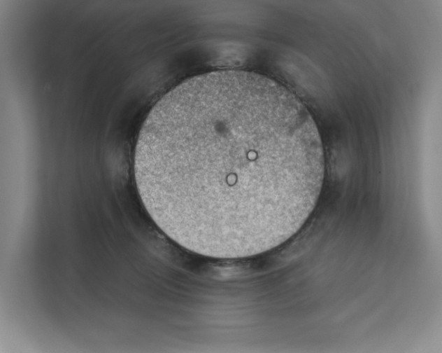 X0000111940370200908101207