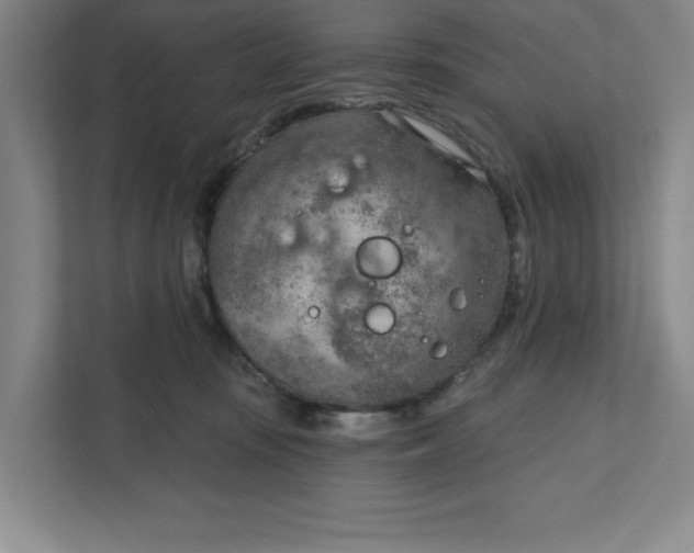 X0000111940371200908101207