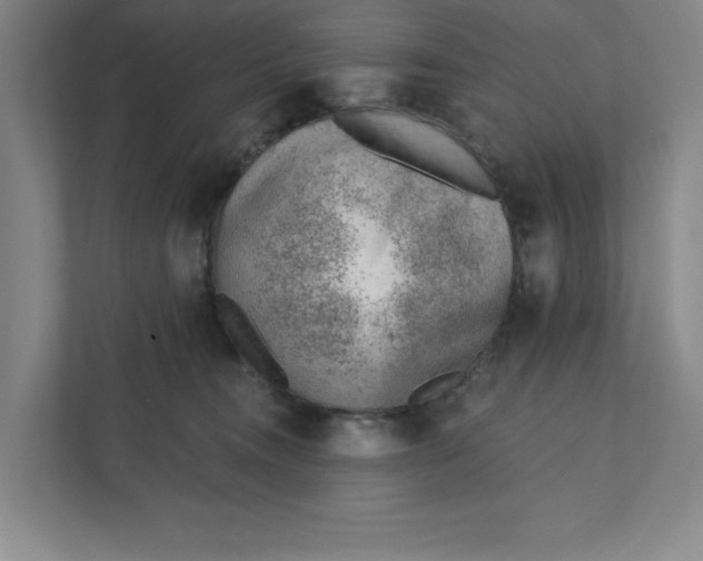 X0000111940372200908101207