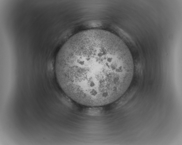 X0000111940373200908101207