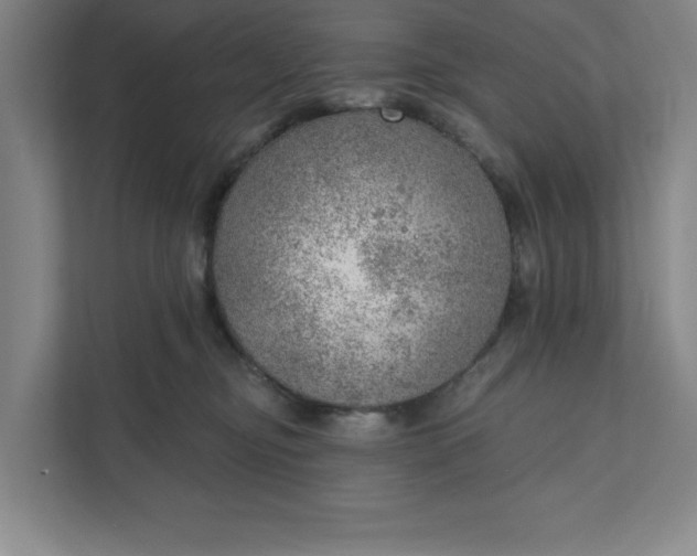 X0000111940374200908101207