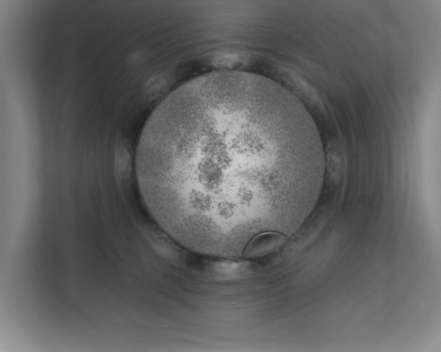 X0000111940375200908101207