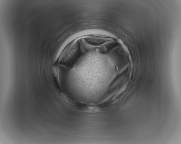 X0000111940376200908101207