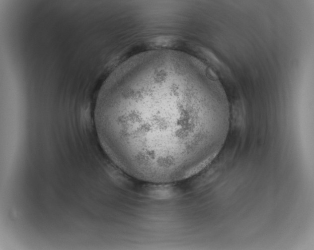 X0000111940377200908101207