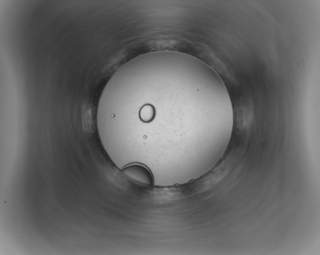 X0000111940378200908101207