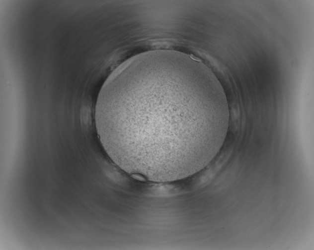 X0000111940379200908101207