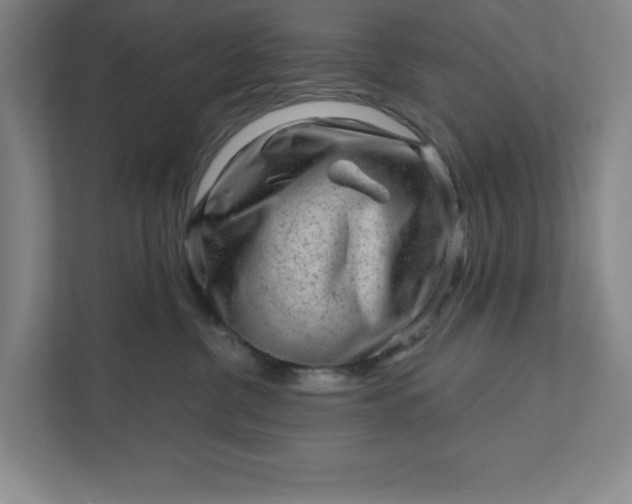 X0000111940380200908101207