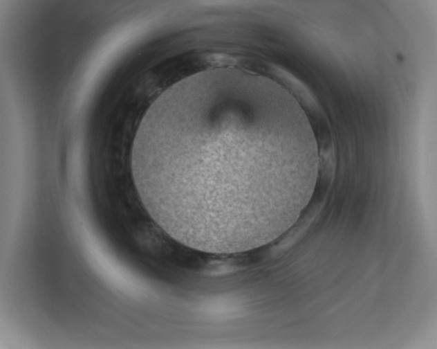 X0000111940381200908101207